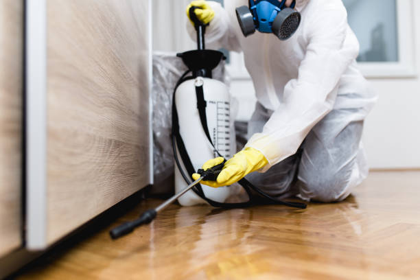 Best Affordable Pest Control Services  in Moxee, WA