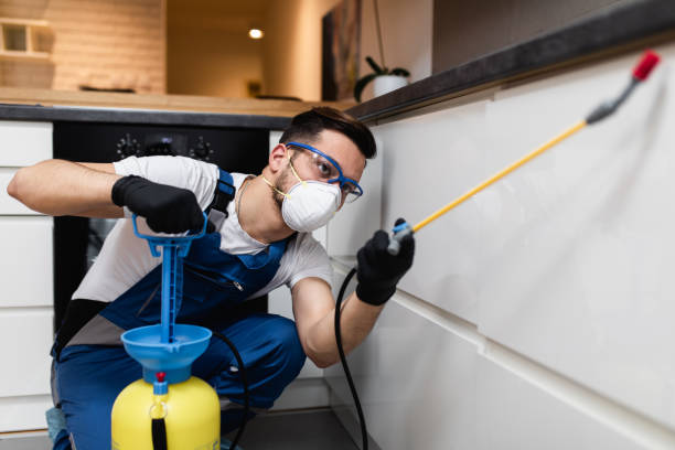 Pest Prevention Services in Moxee, WA