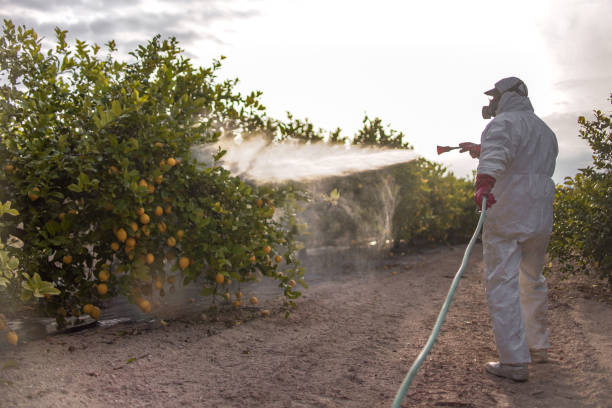 Best Wildlife Control Services  in Moxee, WA