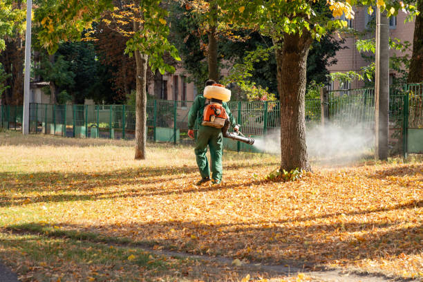 Best Affordable Pest Control Services  in Moxee, WA